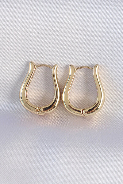 Generic Brand Brass Gold Color Hollow Rose Earrings
