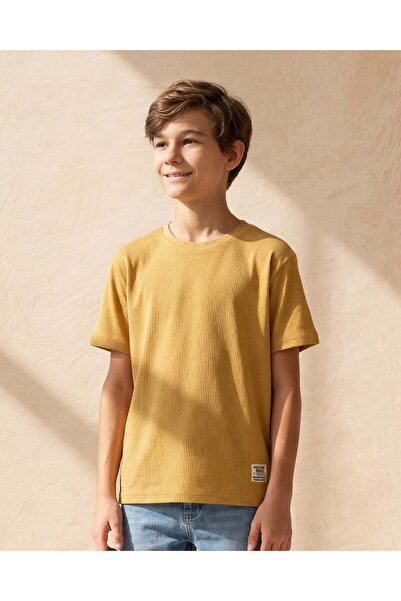 REDTAG Senior Boys MustardTextured T-Shirt