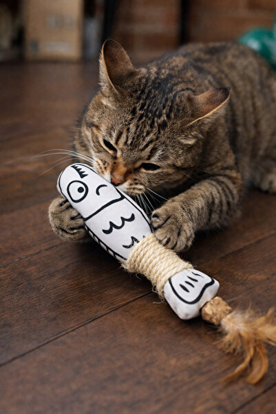 mastercat Fishing Cat with Tail Matatabili Frying Halatli Series