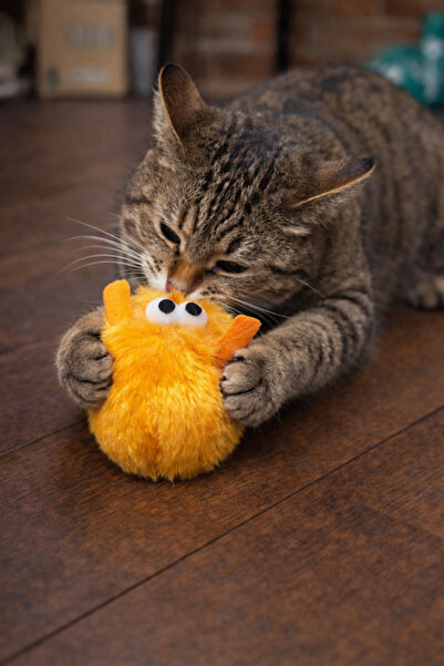 mastercat Matatabili Snuggle Hunter Cat Mouse Toy