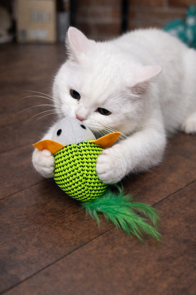 mastercat Matatabili Inner Drive Collection Cat Toy Mouse