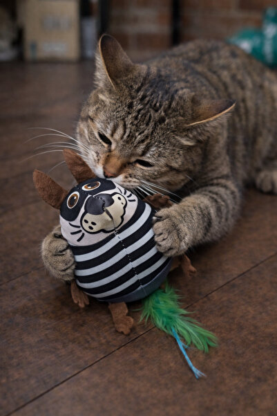 mastercat Matatabili Pirate Prison Hunger Instinct Activation Cat Toy