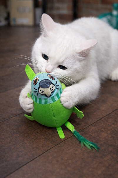 mastercat لعبة القطط ماتاتابيلي على شكل فأر القرصان ذو الذيل الطويل