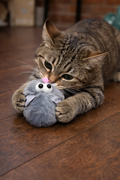 mastercat Colorful Mind Matatabili Cat Mouse