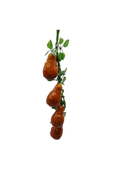 decotoys Tărtăcuță decor pe funie