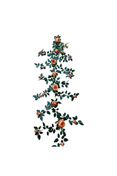 decotoys Ghirlanda cu trandafiri 180 cm