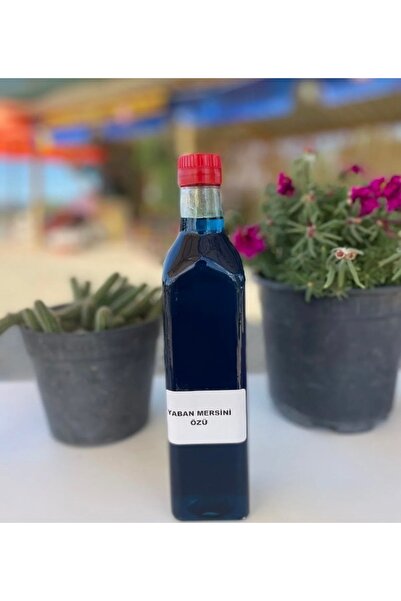 Portakal Çiçeği Doğal Ürünler Yaban Mersini Özü (700GR)