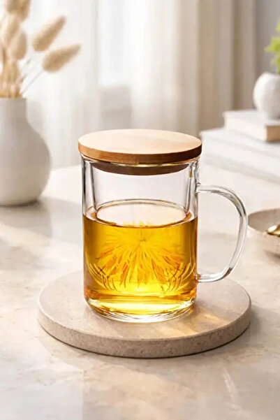 Rosemor 1 adet Süzgeçli Cam Kupa Bardak 400ml Çift katmanlı Isı Yalıtımlı Bambu Kapaklı Bitki Çayı Fincanı s