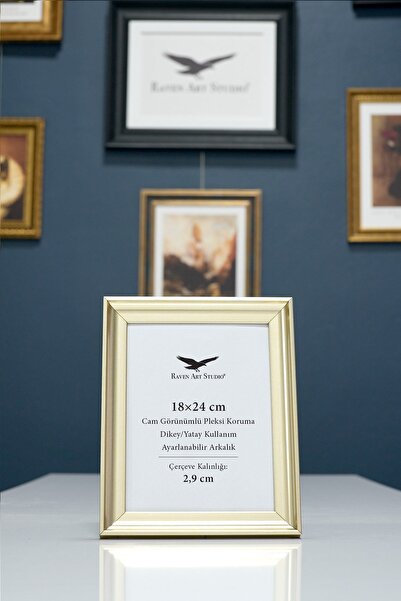 Raven Art Studio Pyramid 18X24Cm Platinum Picture Photo Document Poster Docum...