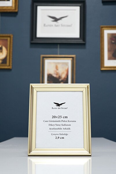 Raven Art Studio Pyramid 20X25Cm Platinum Picture Photo Document Poster Docum...