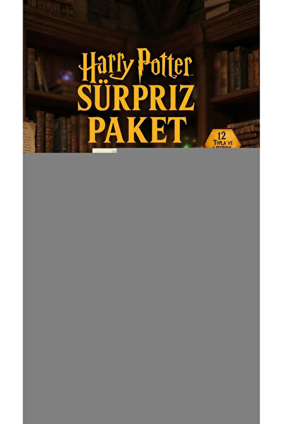 CT STONES Harry Potter Surprise Figure Collection Box Toy