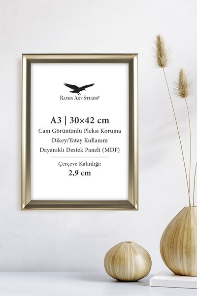 Raven Art Studio إطار صور وثائق بيراميد A3-30x42 سم من البلاستيك البلاتيني، إ...