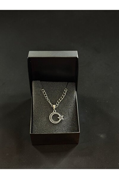 BEKAZEN Unisex Gümüş Renk Ay Yıldız Kolye – Zincirli Paslanmaz Çelik Minimal ...