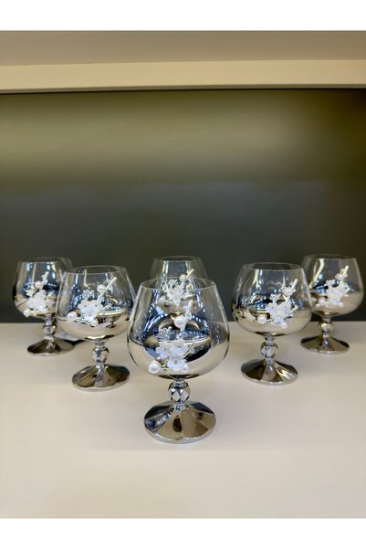 Vakıf home Bohemia Kristal Titanyum Gümüş Renk İncili Kahve Yanı Su Bardağı