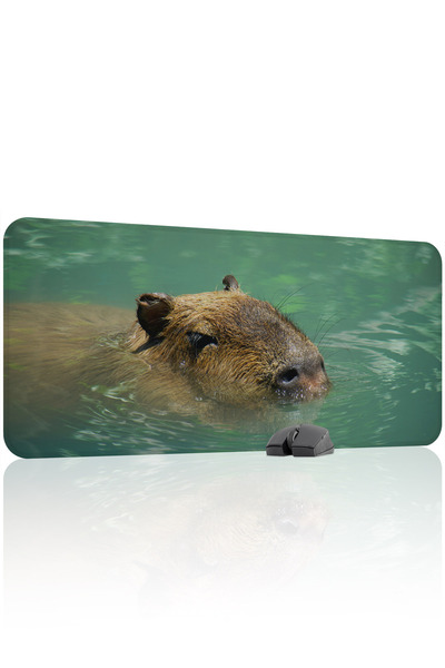 mousepad bastir Capybara Αντιολισθητικό Ραμμένο λαστιχένιο mousepad για παιχν...