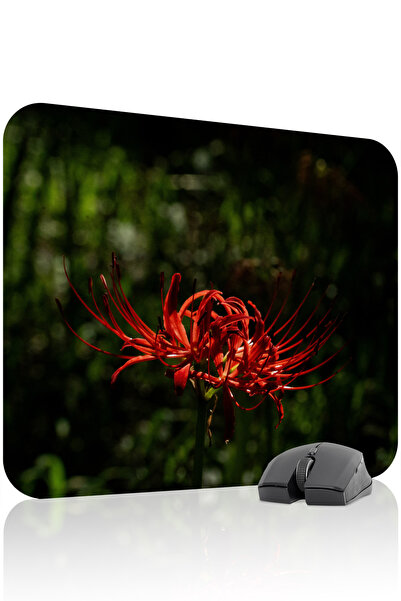 mousepad bastir Higanbana Αντιολισθητικό Ραμμένο λαστιχένιο mousepad παιχνιδι...