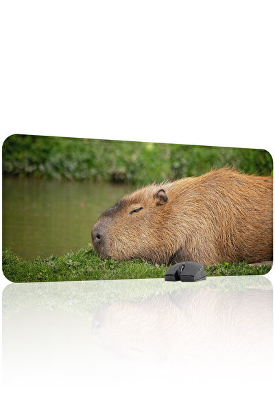 mousepad bastir Mousepad pentru gaming din cauciuc cusut Capybara antialuneca...
