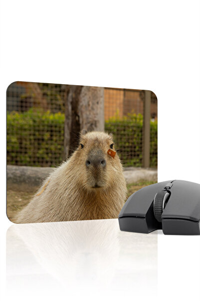 mousepad bastir Mousepad pentru jocuri Capybara antialunecare din cauciuc cus...