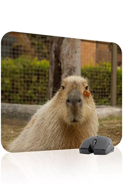 mousepad bastir Mousepad pentru jocuri Capybara antialunecare din cauciuc cus...
