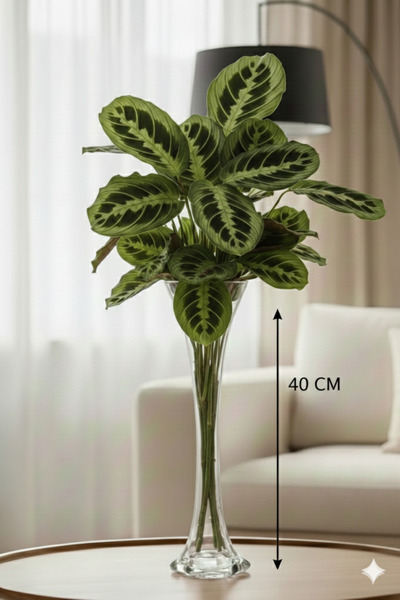 CANBOTANİK 40 Cm Vazo Modern Ve şık tasarım Uzun Fil Ayağı Cam Vazo