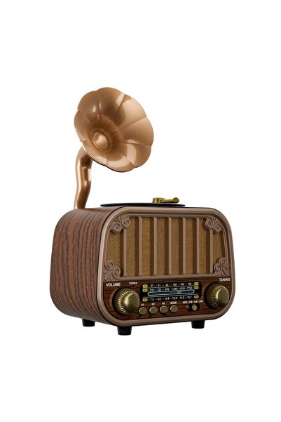 ataşbey RT-738 Şık Tasarım Gramafon Görünümlü Klasik Nostaljik Bluetooth/USB/...