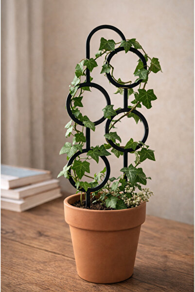 bi tutam mutluluk Çiçek Destek Tutucu (sarmaşık, devetabanı ve çeşitli bitkil...