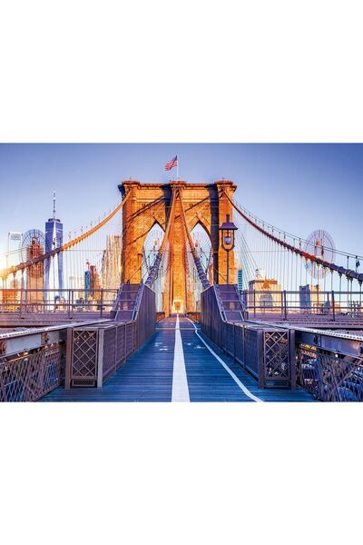 Alipson Puzzle 1000 piese - Brooklyn, New York (Alipson-Puzzle-50012)