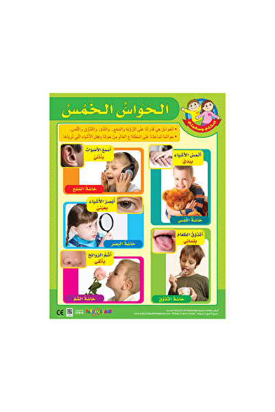 123Publishing House The Body Parts - Wall Chart in Arabic