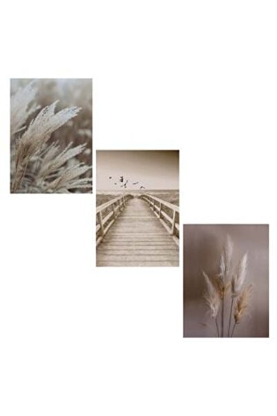 SHOPIENS Set de postere decorative cu design natural 30 x 42 cm - 3 buc