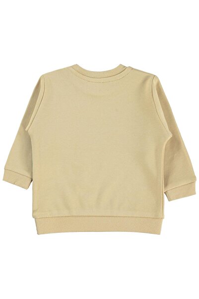 Civil Baby سويت شيرت ديناصور مطبوع للأطفال من عمر 6-18 شهرًا - بني من عمر 12-...