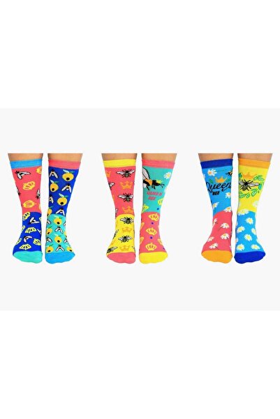 HNSOCKS RENKLİ ÇORAP MAFYASI Bee Themed Colorful Patterned Socks Set of 6 – Q...