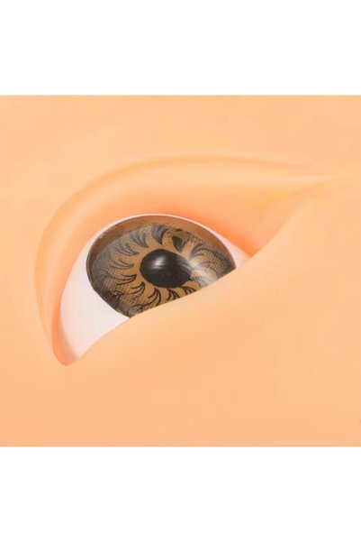 ellea Eyebrow, Eye Eyeliner Permanent Makeup 5D Practical Practice Leather in 1 Piece