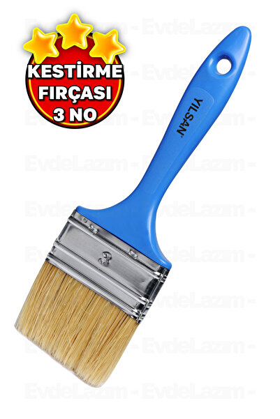 EvdeLazım Painting Brush Paint Brush Plastic Strappy Painting Brush (3 No)