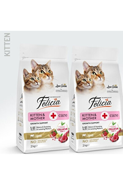 Felicia Kitten & Mother Care Kuzulu Yavru Kedi Maması 2Kg X 2Adet