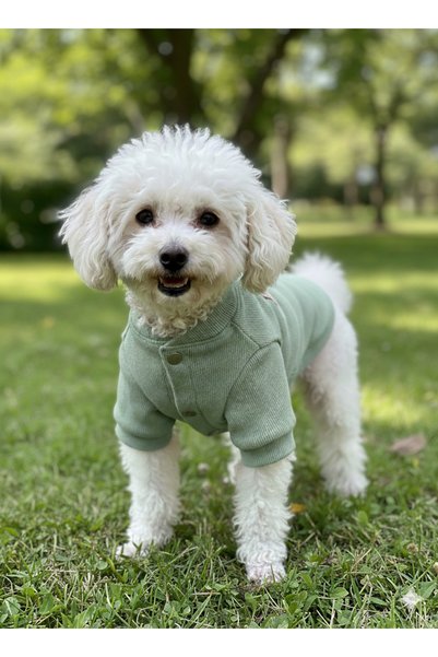 PATİLİNKA Cat - Dog Ribbed Knit Stretchy Transitional Jacket - Coat - Raincoat - Vest - Clothing