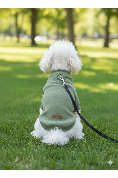 PATİLİNKA Kedi - Köpek Kaşkorse Esnek Mevsimlik Ceket - Mont - Yağmurluk - Ye...