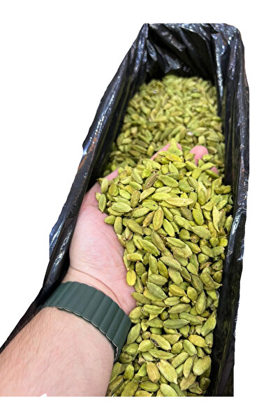 ALMAJID هيل امريكي ابو فيل رقم 2 كرتون 5 كغ