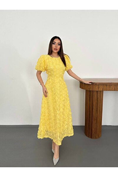 asyadabutik Women's Rose Detailed Special Design Dress