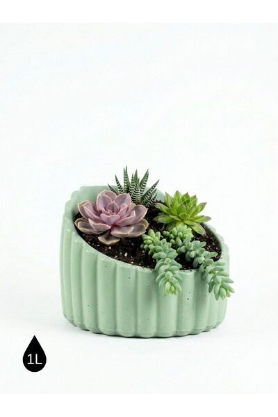 Store SUKULENT BETON SAKSI 1 LT - İç Mekan Ev Salon Ofis Bitki Saksısı - Deko...