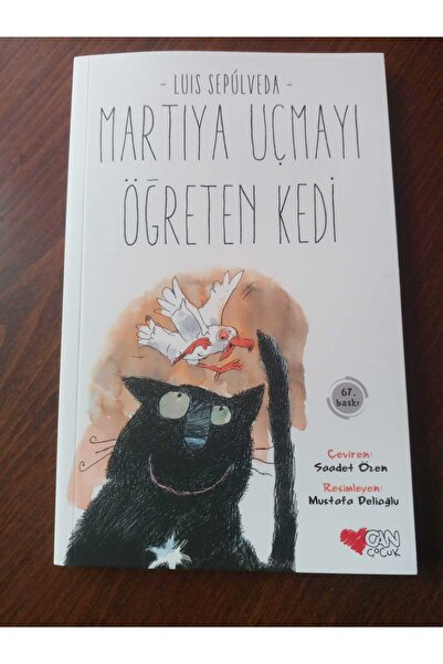 Can Çocuk Martıya Uçmayı Öğreten Kedi