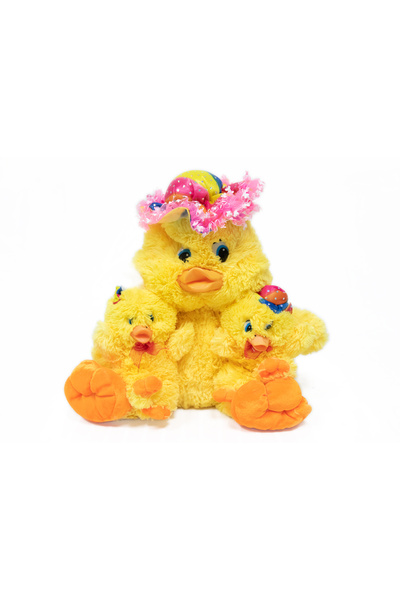 Nobrand Duck with chicks