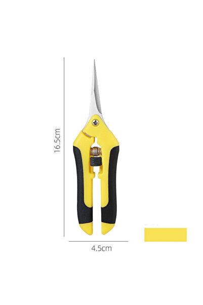 choice2 مقص تقليم الحدائق من الفولاذ المقاوم للصدأ الأصفر، برأس مستقيم، مناسب...
