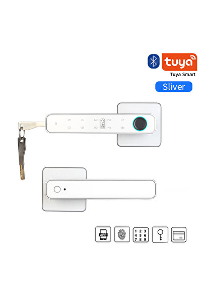 Choice1 XSDTS F3S-Silver XSDTS Tuya Handle Fingerprint Key Card Digital Smart...
