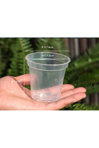 Choice1 A---5pc New 5PCS Round Seed Starter Tray Transparent Planter Nursery ...