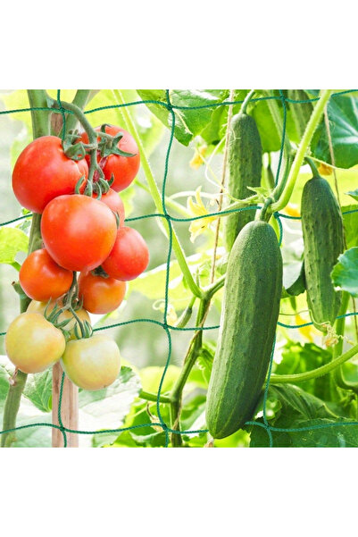 Choice1 1.8Mx1.8M 1PCS Trellis Netting Outdoor Heavy Duty Nylon Plant Climbin...