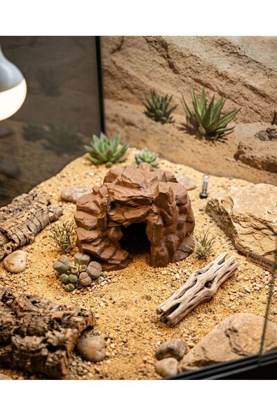 VİONEL Strix Sürüngen Teraryum Mağarası – Gecko / Kertenkele Saklanma Kayası ...