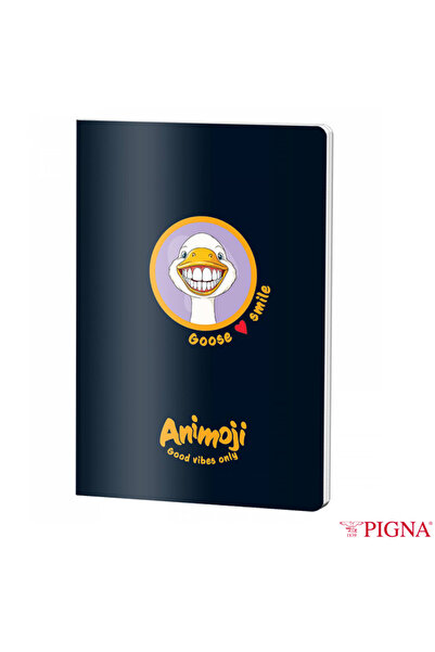 PIGNA Caiet de aritmetică A5 48 de pagini - Calcule și exerciții de geometrie