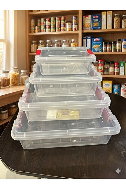 AYSTAR 4-Pack Locking Lid Storage Container - Transparent Multi-Purpose Stora...