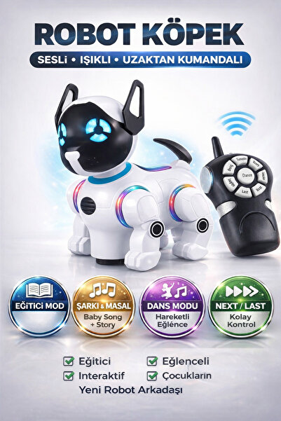 YILDIRIM OYUNCAK Uzaktan Kumandalı Şarjlı Çok Fonksiyonlu Eğitici ve Öğretici...