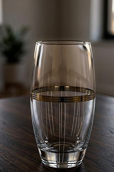 DECOSTYLE Apex Platinum 6-Piece Water & Soft Drink Glasses – Modern Stylish G...